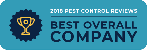 best-rating-logo