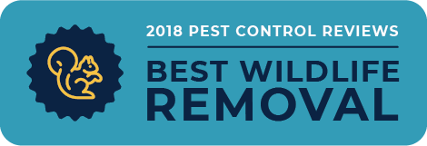 best-rating-logo