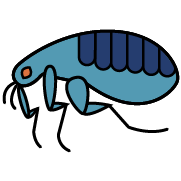 Pest icon