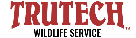 Logo of 