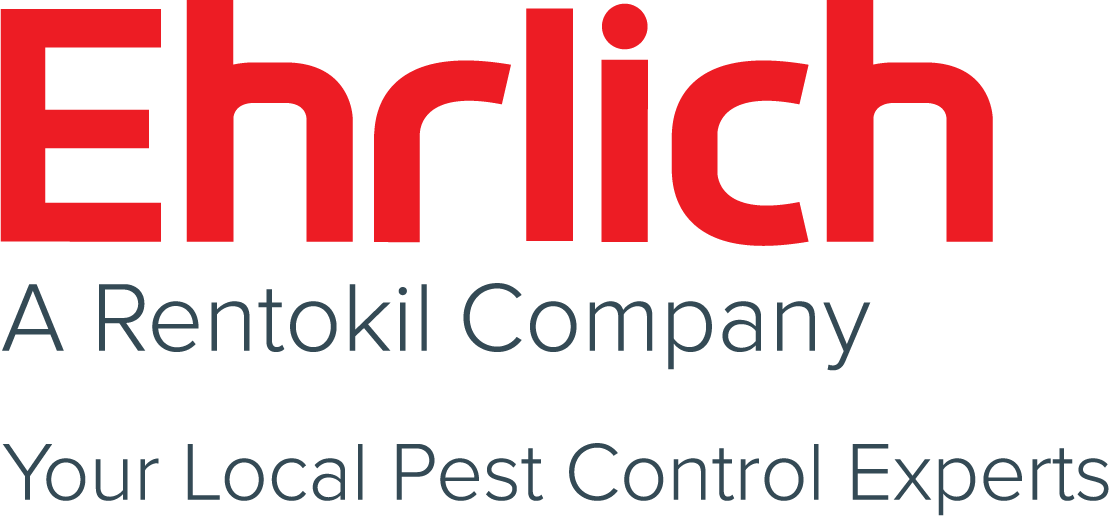 Best 10 Pest Control Companies For 2020 In Nc Pestcontrol