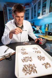 Photo courtesy of USDA