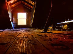 Attic Pest Removal For Rats