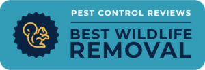 Pest Control Reviews Best Wildlife Removal